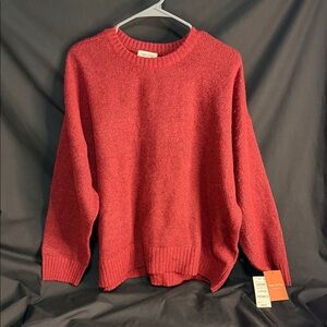 State of the Day Red Crew Neck Sweater